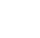 Cactus Mendoza